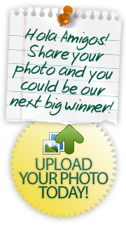 Upload Your Photo Today